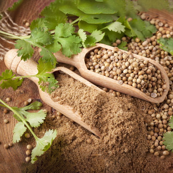 Uses of Coriander Masala Powder
